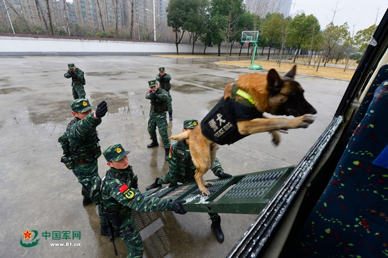 新澳澳门免费资料网址是什么,具体操作步骤指导_2024款 B5 智雅运动版BXC3297